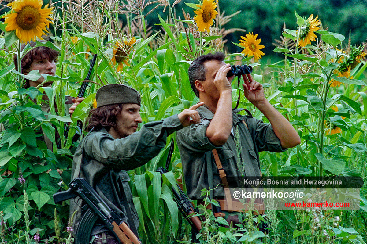 Soldiers monitor enemy position from a field of sunflowers